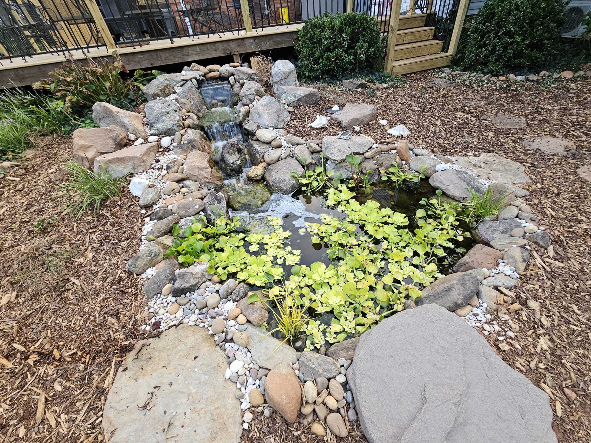 Water Gardens & Streams
