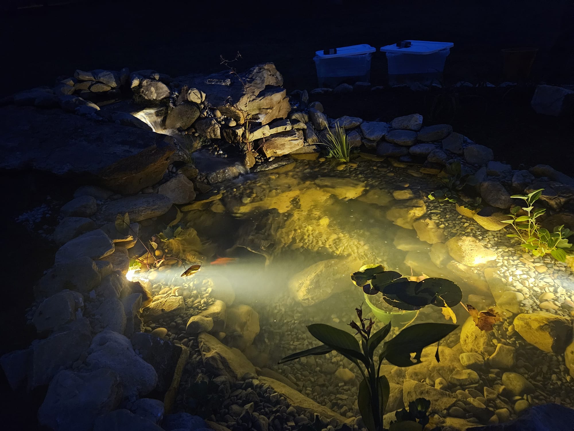 Custom Koi Ponds