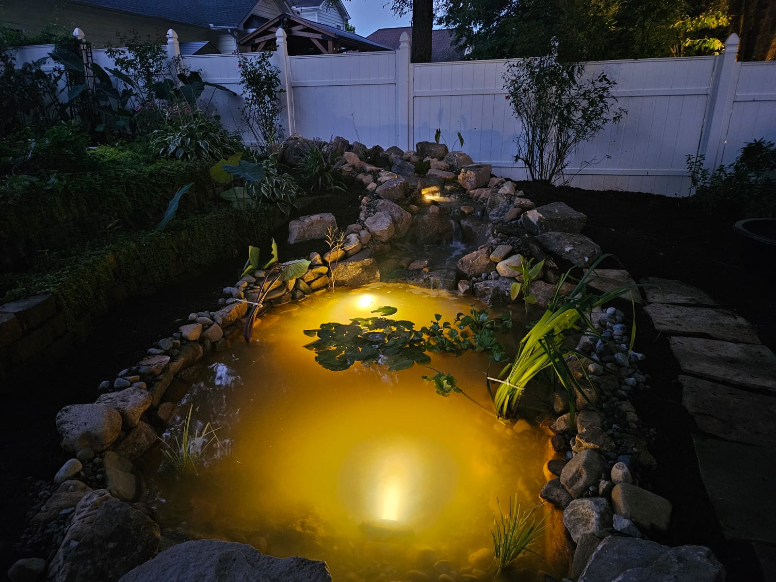 Illuminated custom koi pond at dusk — Solid Rock
